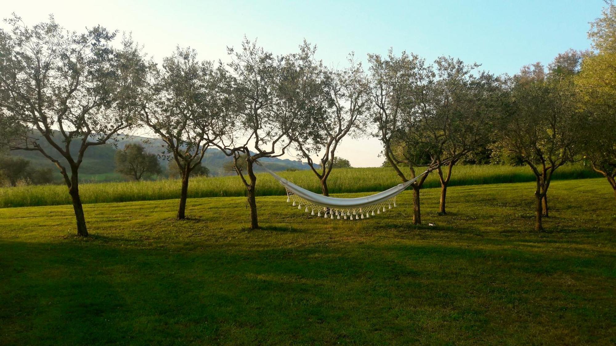 Bed and Breakfast Le Bumbarelle Tavoleto Exteriér fotografie