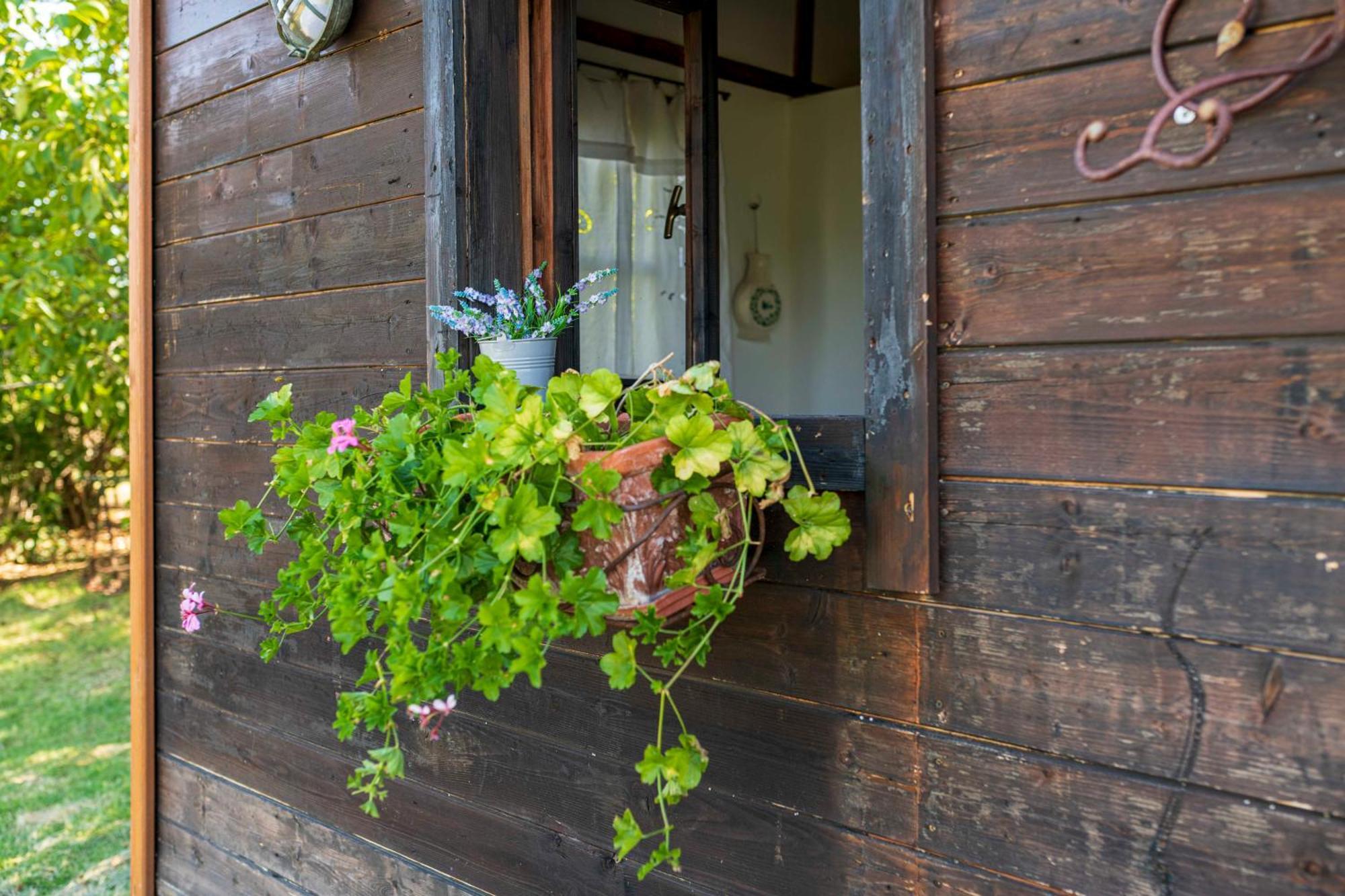 Bed and Breakfast Le Bumbarelle Tavoleto Exteriér fotografie